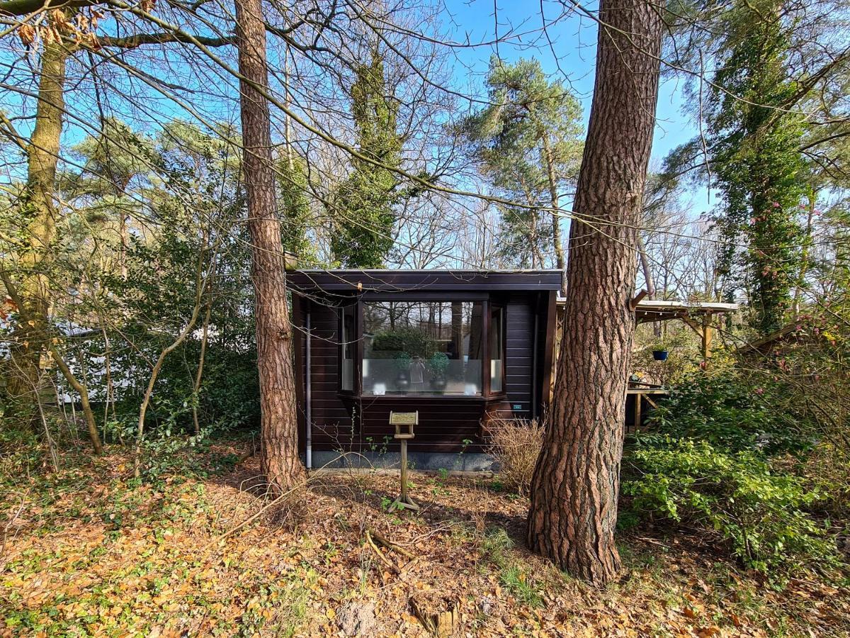 Chalet Boslust Villa IJhorst Bagian luar foto